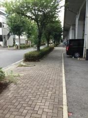 杉村街園