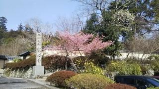 観心寺