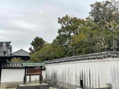 正倉院