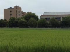 岡山県立大学