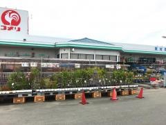 コメリハード＆グリーン　白石店