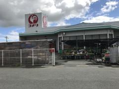 コメリハード＆グリーン　白石店