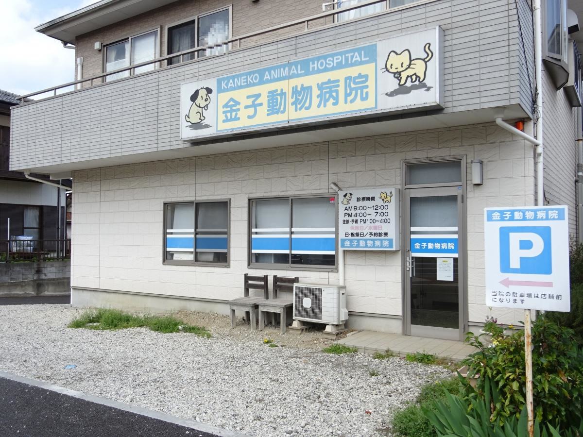 金子動物病院です。