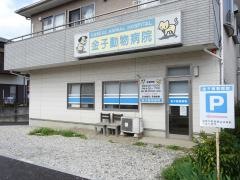 金子動物病院