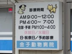金子動物病院
