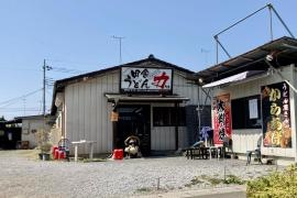 田舎うどん　力