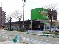 フェルナ　加木屋店
