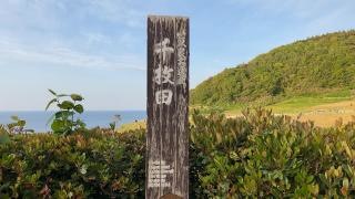 白米千枚田