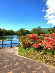大沼国定公園