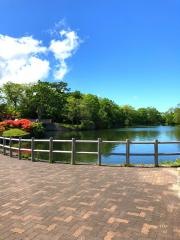 大沼国定公園