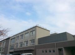 松原小学校