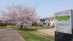 中峠亀田谷公園