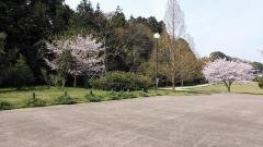中峠亀田谷公園