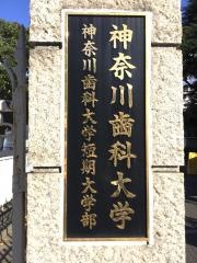 神奈川歯科大学短期大学部