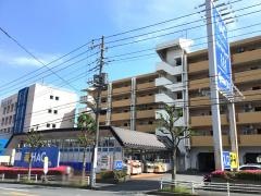 ハックドラッグ　東戸塚前田町店