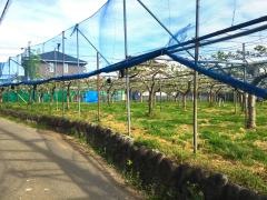 三堀園