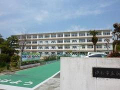 新津小学校