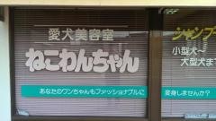 ねこ・わんちゃん愛犬美容室