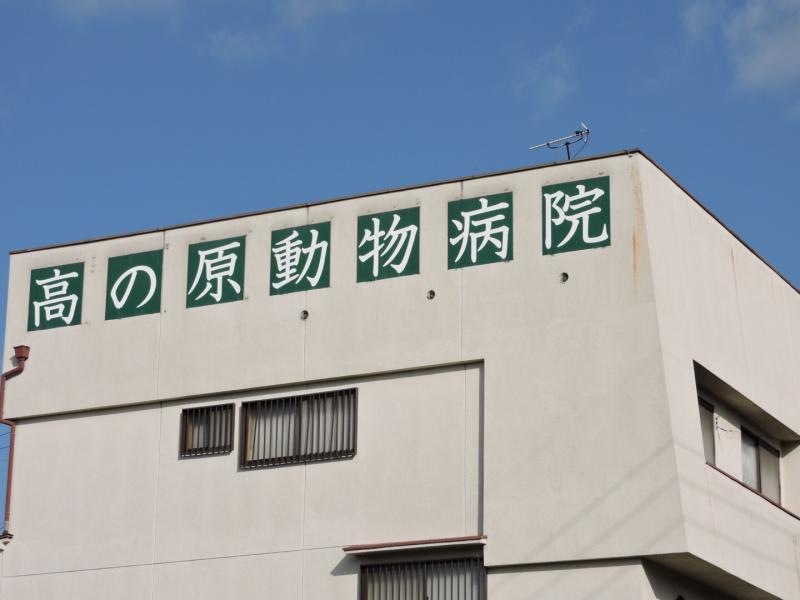高の原動物病院