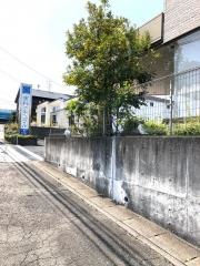 歯科ナチュラル