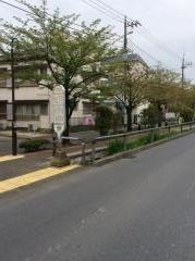 「千年新町(東側)」バス停留所