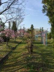 日の出町公園
