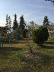 日の出町公園