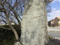 四高桜