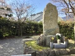 四高桜