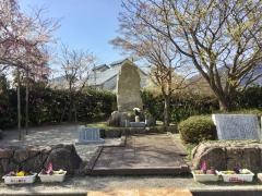 四高桜