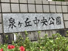 泉ケ丘中央公園