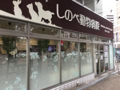 しのべ動物病院