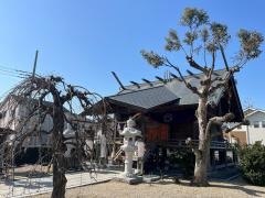 竹生島神社