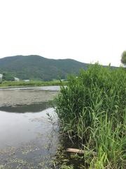 白竜湖