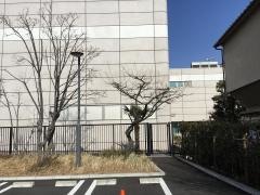江北地域体育館