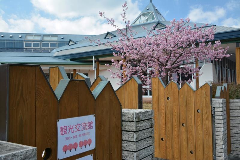 河津町立文化の家図書館
