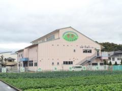 しいの木保育園