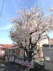 三和保育園