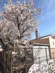 三和保育園