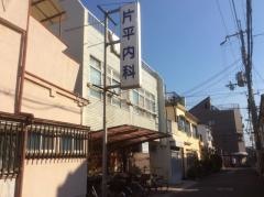 片平内科