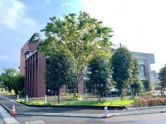 目白大学大学院国立埼玉病院キャンパス