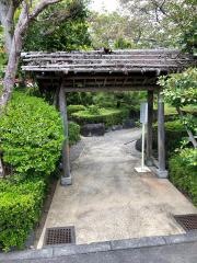 花みづき