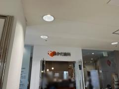 おかだ歯科