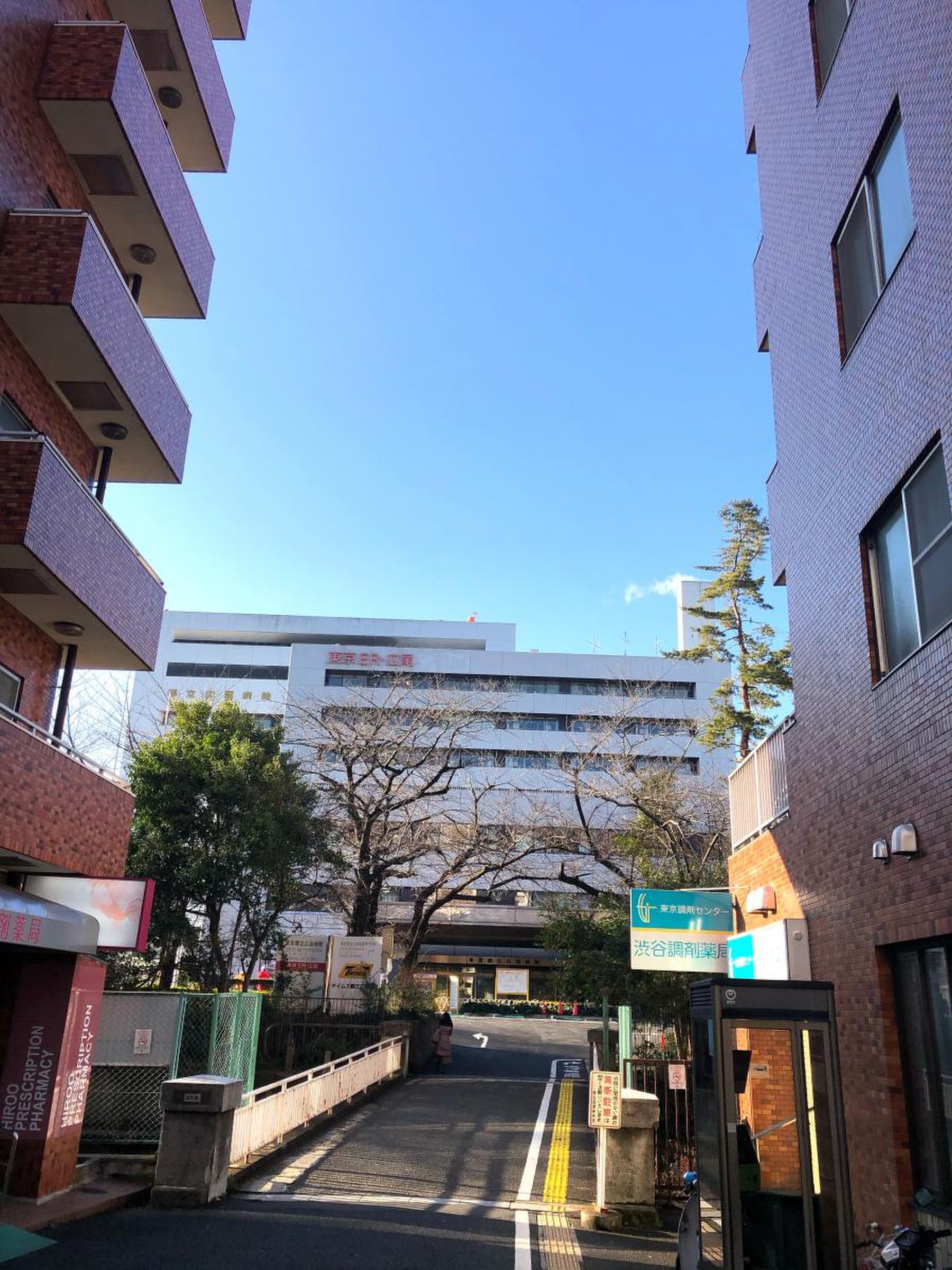都立 広尾 病院