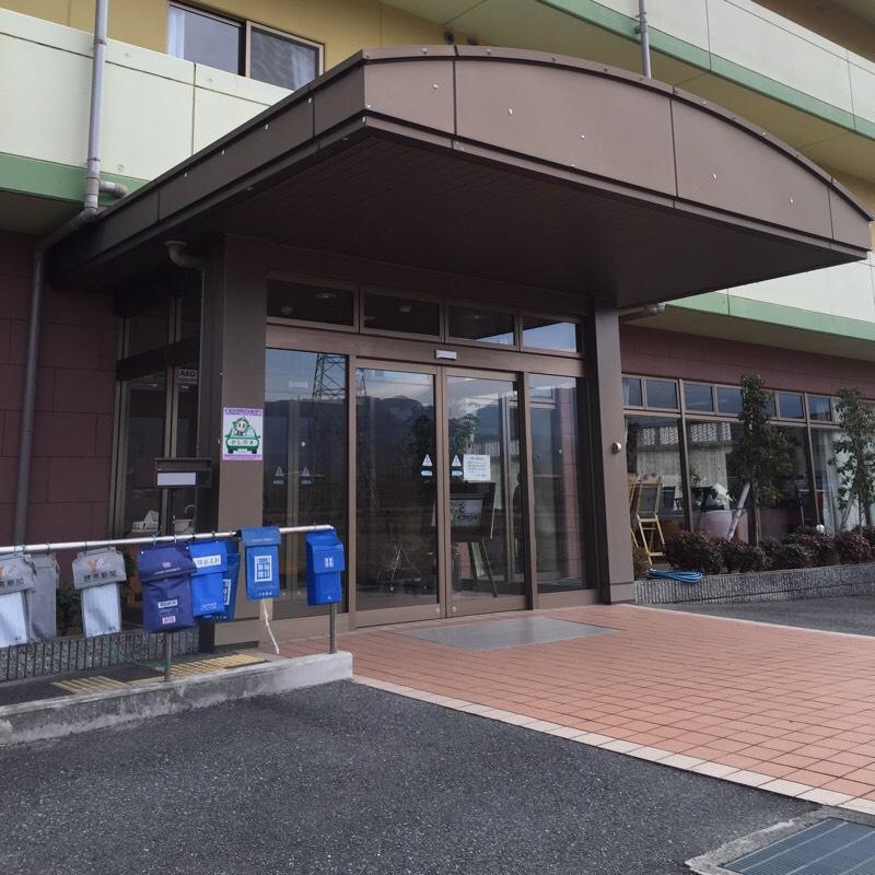 かしの木