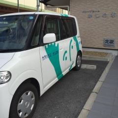 かしの木