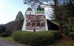 ますとます