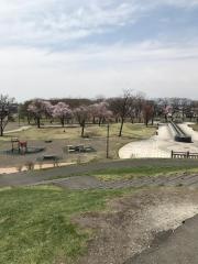 拓勇公園