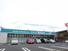 ドラッグセイムス　草加北谷町店