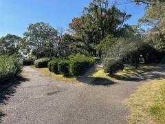 つつじが丘公園